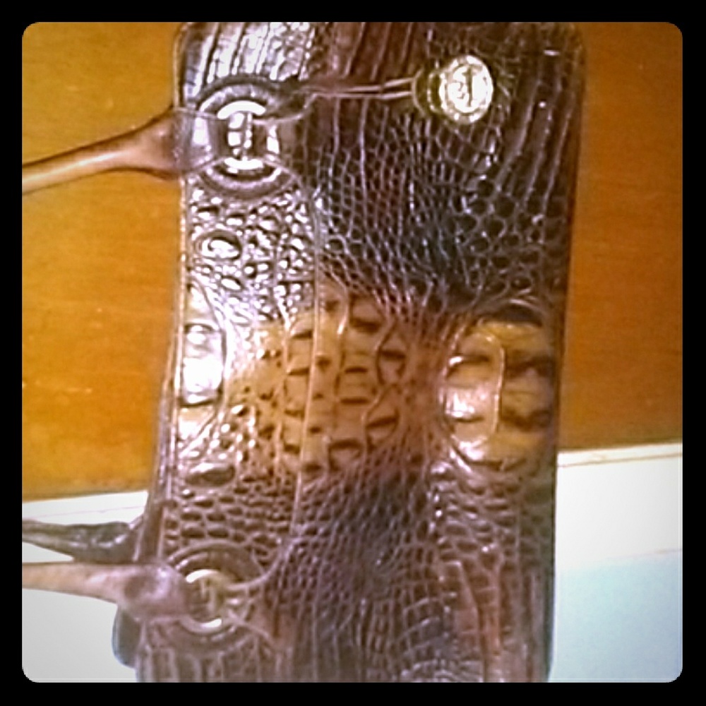 Brahmin purse